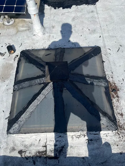 DF Roofing Care Picture 1