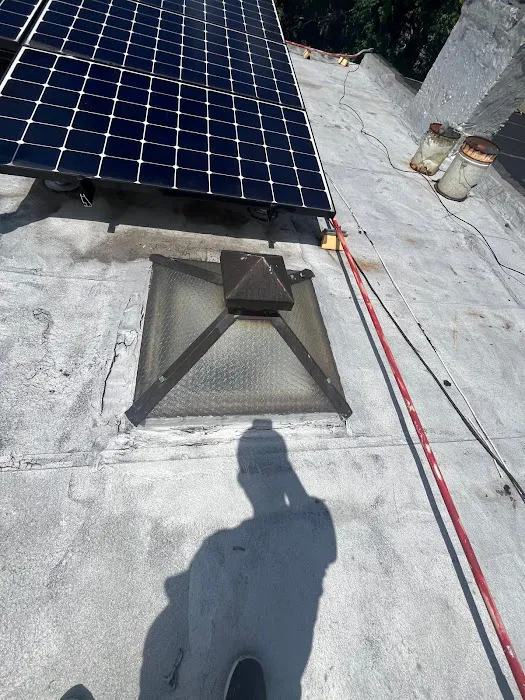 DF Roofing Care Picture 2