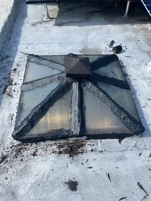 DF Roofing Care Picture 3