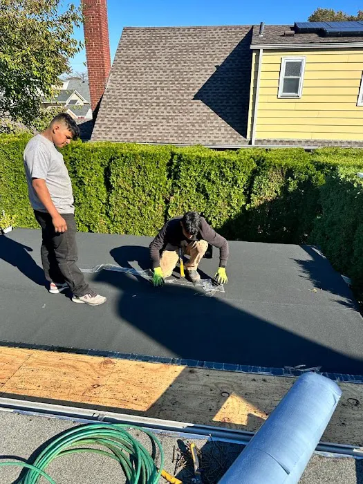 Barrys Waterproofing and Roofing Picture 9