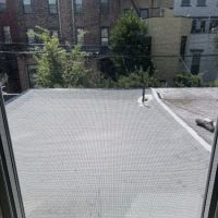 Elite Roofing Group ico