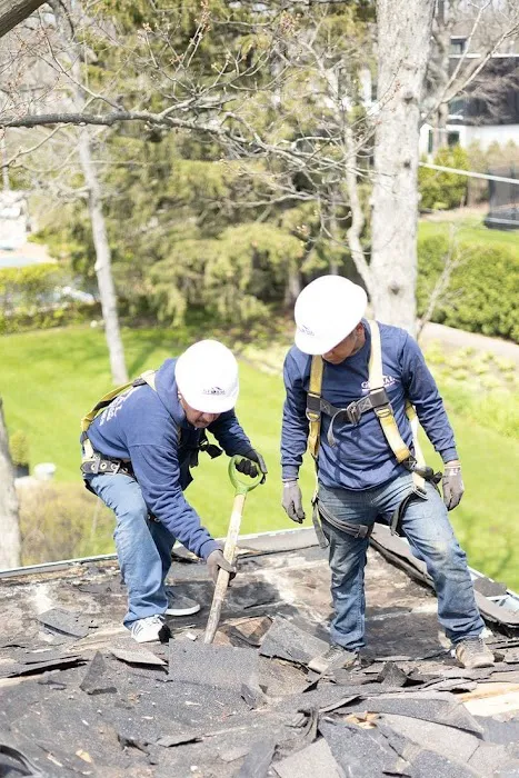 Bayside Roof Experts. Picture 3