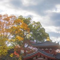 Integrity Roof Systems ico