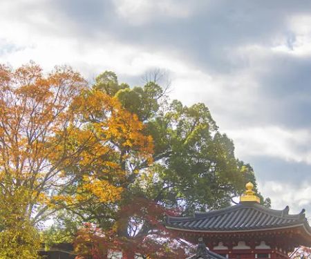 Integrity Roof Systems