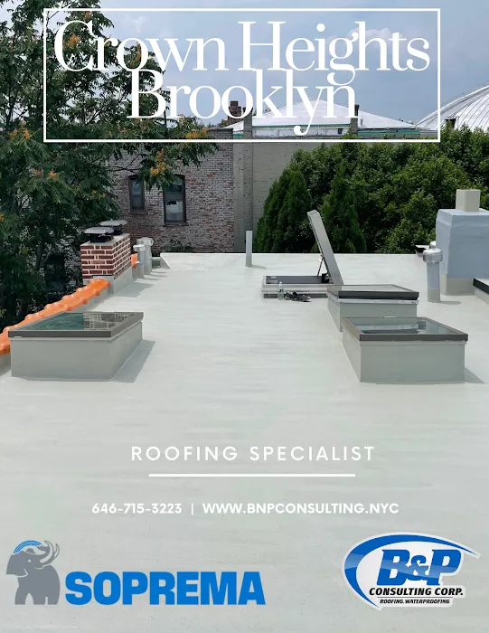 B&P Consulting Corp Picture 10