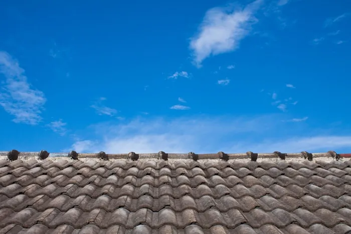 Hernandez & Sons Roofing Picture 1