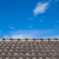 Hernandez & Sons Roofing ico