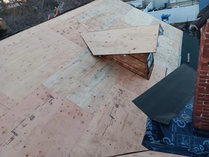 New York Roofing Picture 1