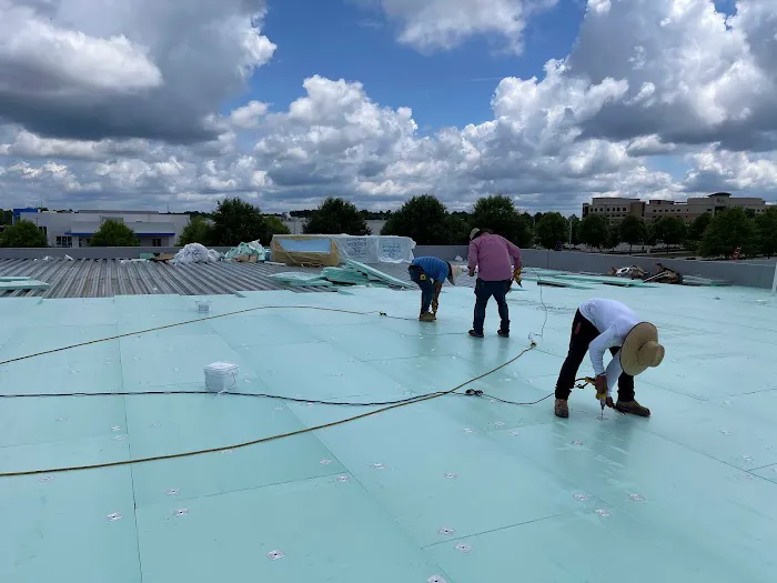 MTS ROOFING Picture 9