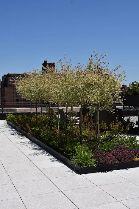 Maspeth Contracting Corp. dba Maspeth Roofing & Siding Picture 8