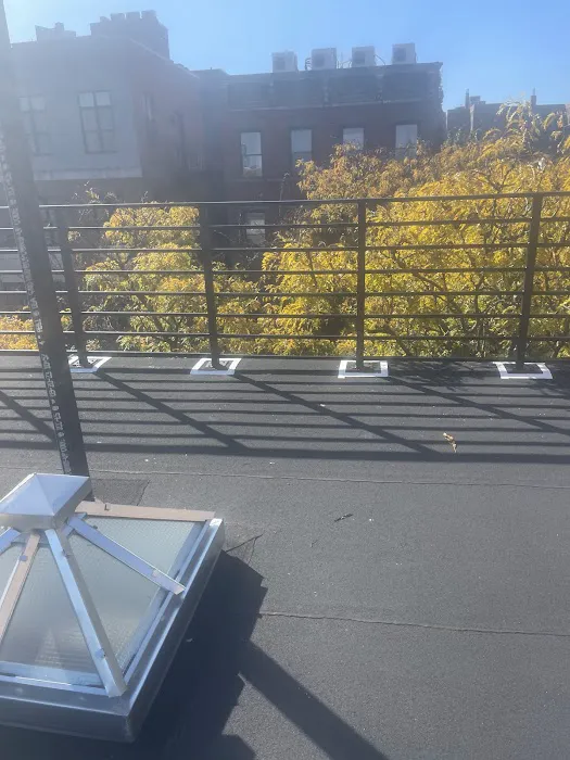 Shane Walters construction Inc. Picture 4