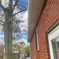 M&T Roofing Inc. ico