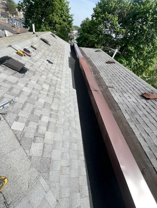 SPARTAN NY ROOF REPAIR EXPERT Picture 2