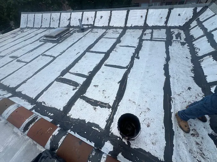 SPARTAN NY ROOF REPAIR EXPERT Picture 6