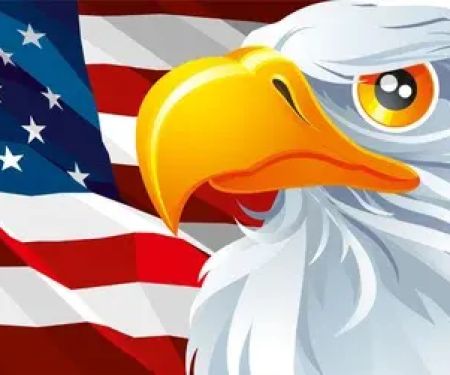 American Eagles Contractor Corp