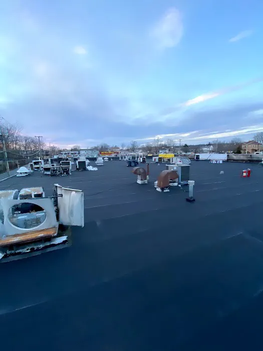 Armor Roofing & Construction Picture 5