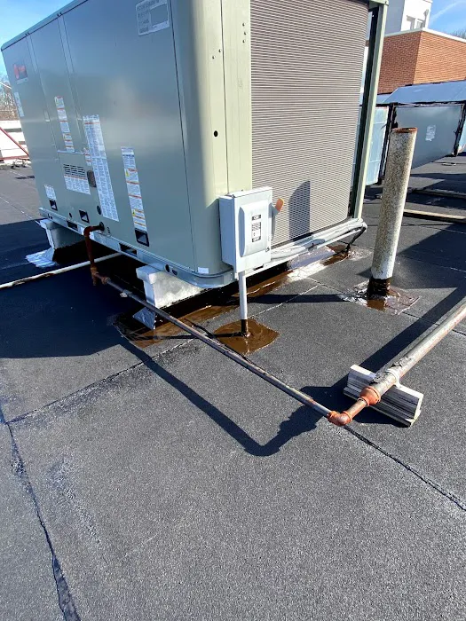 Armor Roofing & Construction Picture 3