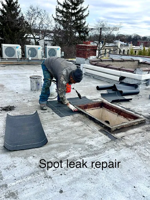 SAS Roofing & Waterproofing Picture 9