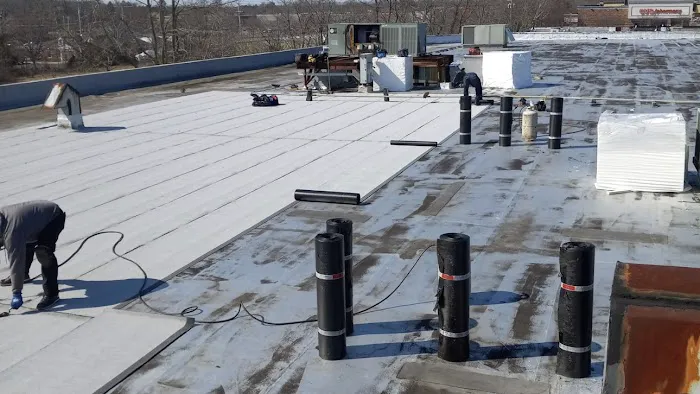 Rose Roofers Picture 4