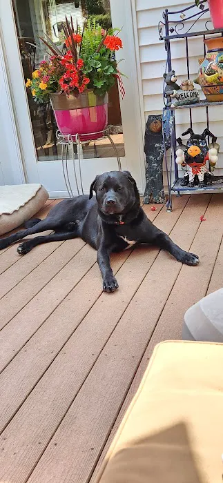 Kost & Kost Roofing Picture 3