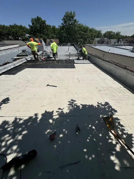 Lucy Roofing. Picture 6