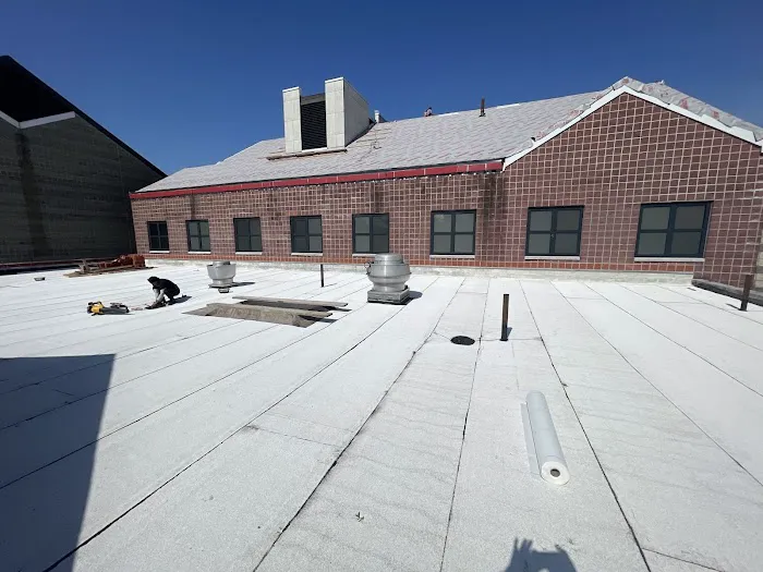 Lucy Roofing. Picture 2