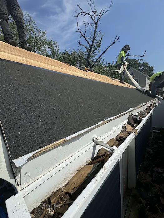 Lucy Roofing. Picture 7