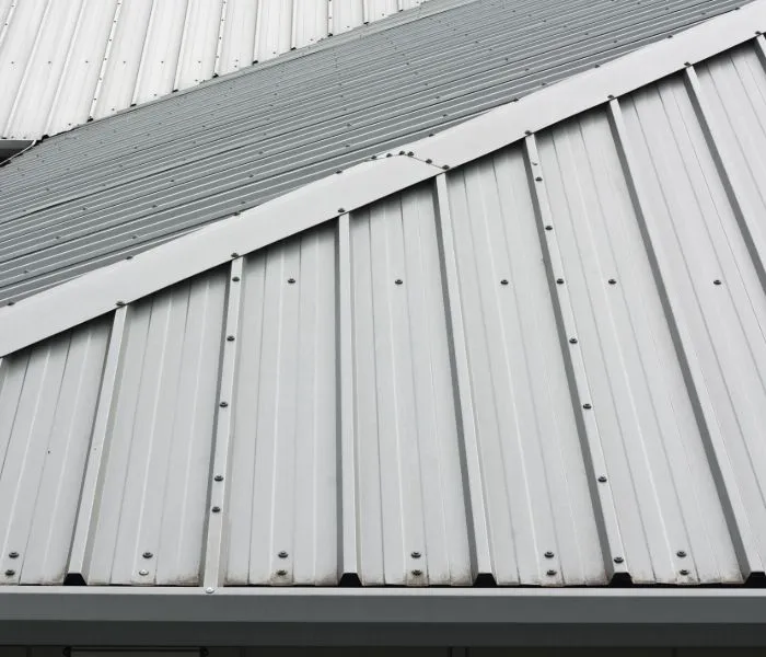 Professional Picture 2