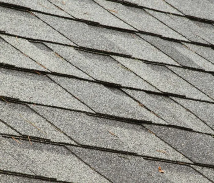 Professional Picture 5