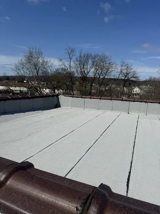 All Weather Roofing Picture 3
