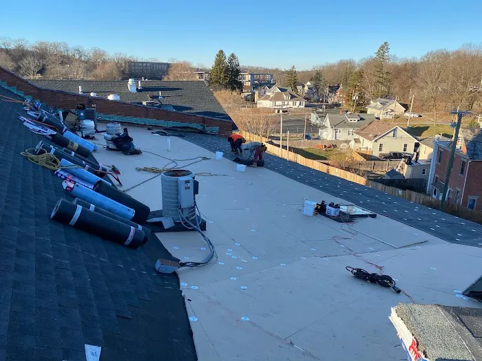 Quality Roofing Picture 1