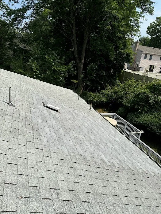 Quality Roofing Picture 2