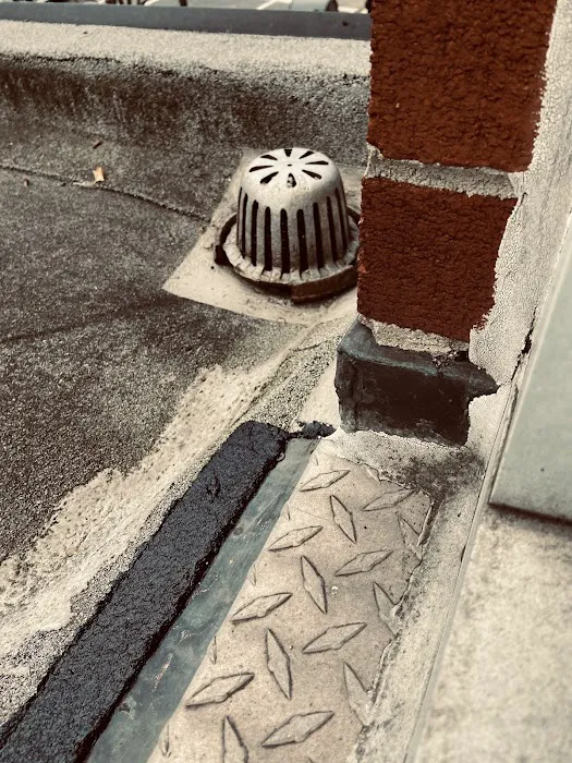 Expert Roofing Solutions Picture 1