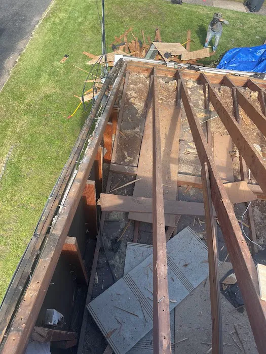 Dream Roofers Picture 2