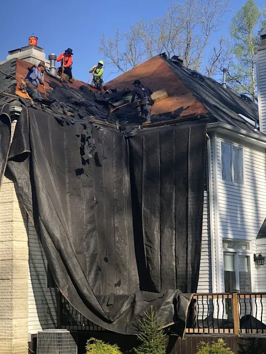 Luigi's Roofing Picture 1