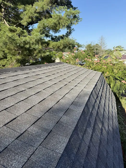 All Point Roofing & Chimney Picture 2