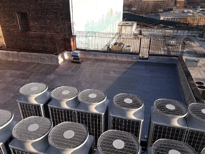 Roofing Repair Team Picture 3