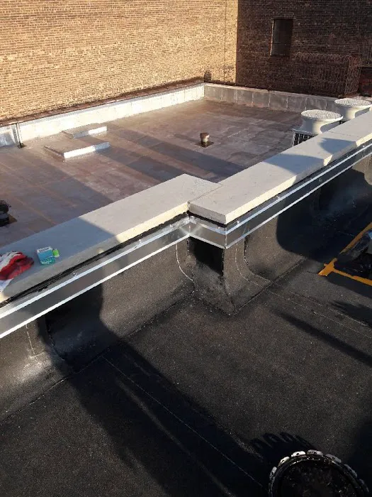 Roofing Repair Team Picture 6