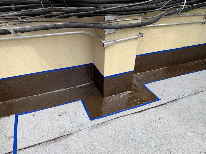 Roofing Repair Team Picture 10