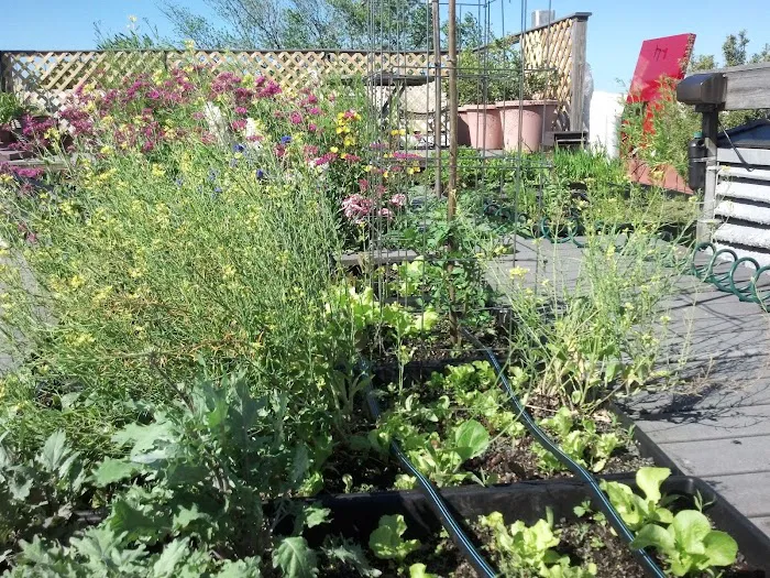 Martin's Roofing Picture 3