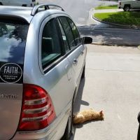 Henry's Home Improvement ico