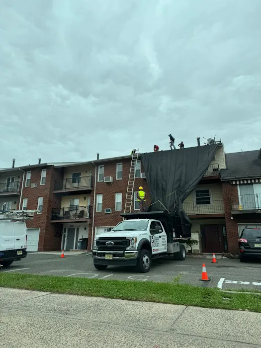 Rapid Roofing & Leak Repair Picture 1