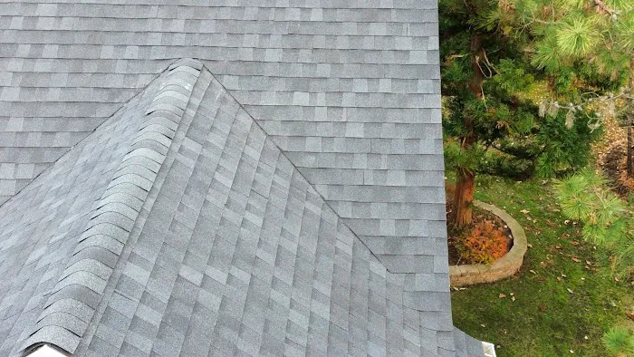 Everlast Roofing & Gutters Picture 3