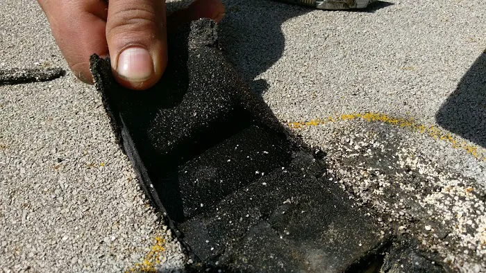 INFRARED ROOF INSPECTORS Picture 3