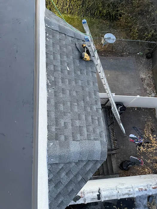 The GOAT Roof Repair and Replacement Picture 5