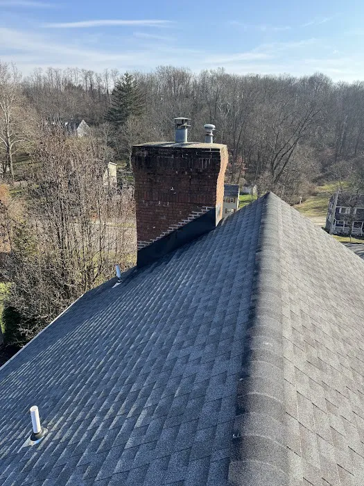 A1 Experts Roofing & Chimney Picture 1