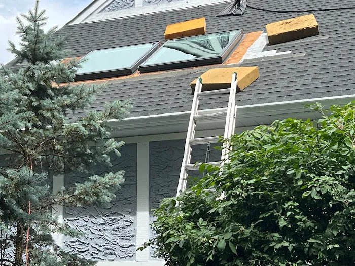 A1 Experts Roofing & Chimney Picture 4