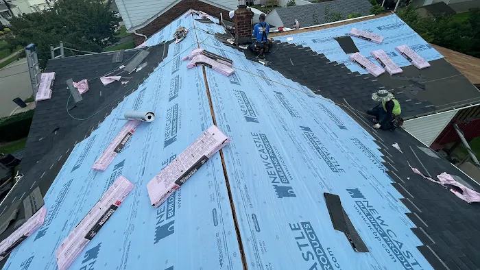 ALL QUALITY Picture 3