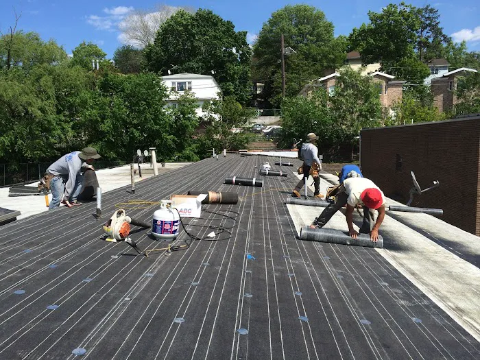 ALL QUALITY Picture 10