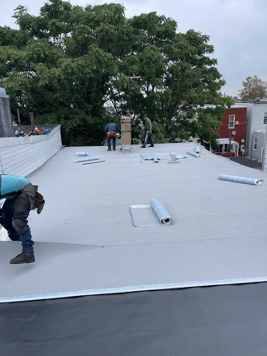 ALL QUALITY Picture 8